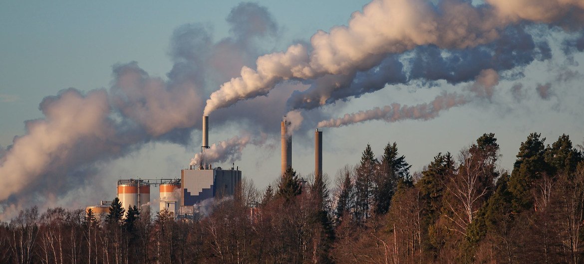 Más de 30 científicos cuestionan los protocolos de compensación por emisiones de carbono