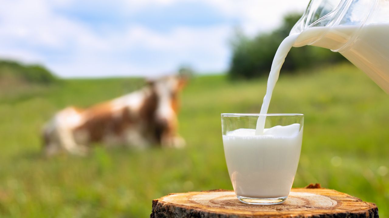 Cómo RD está transformando la industria de la leche, de acuerdo con Erick Rivero