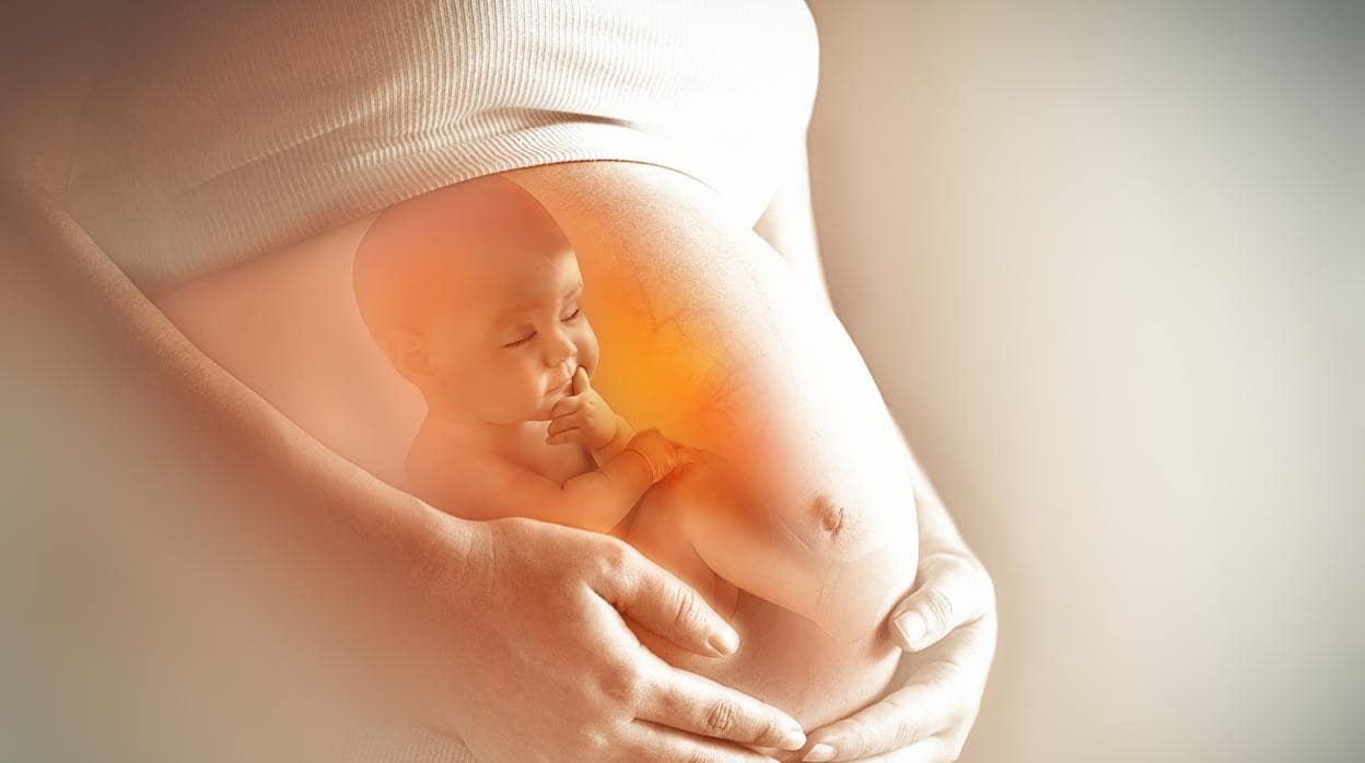 CIDH  “advierte” aborto en las tres causales debe ser reintroducido en Código Penal