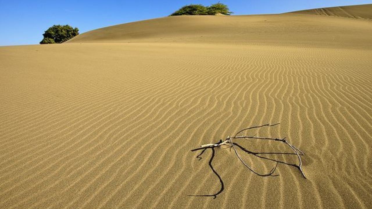 Medio Ambiente mantiene protegida Las Dunas de Baní tras quemas indiscriminadas