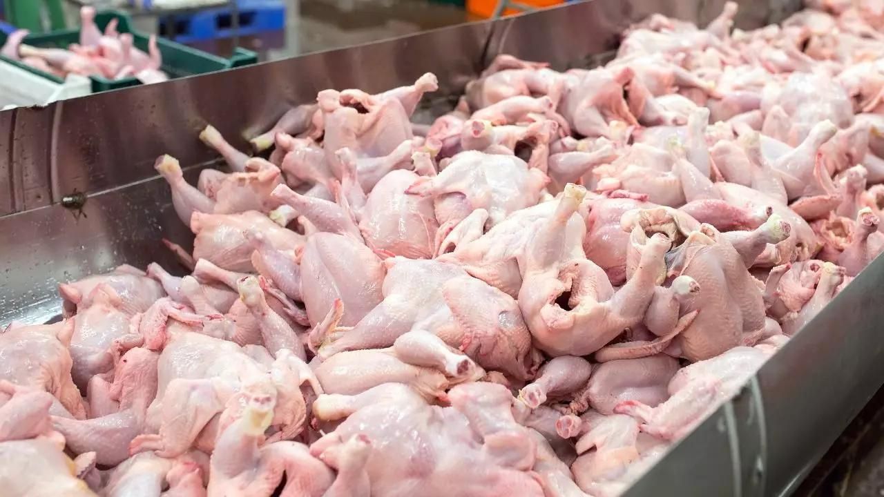 El calor y materia prima contaminada con toxinas, factores que tienen ver con escasez de pollo, según Osmar Benítez