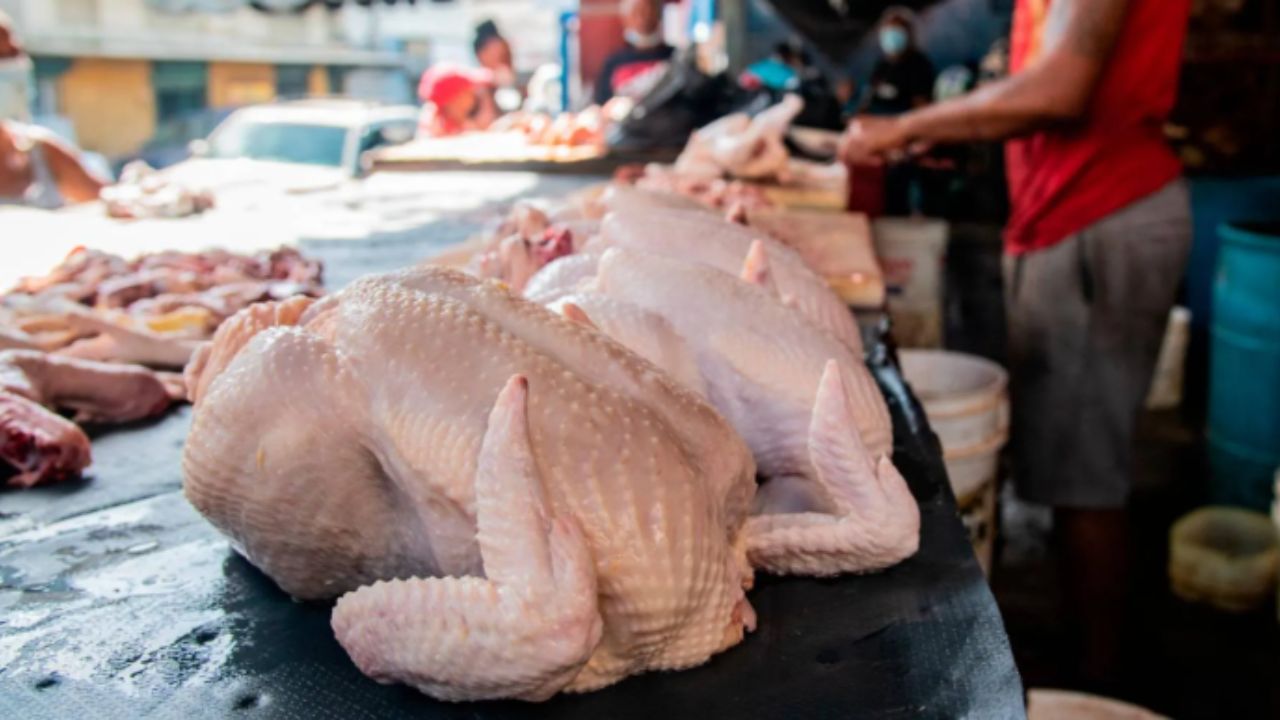 ¡Distribuidores al borde de la quiebra! Denuncian escasez de pollo está empeorando cada día