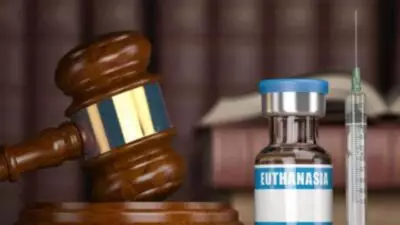 La eutanasia: un tabú en República Dominicana, un derecho en otros países  