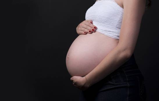 La inseminación, un método de reproducción asistida