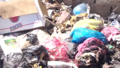 Ahogados en basura viven residentes en Pedro Brand