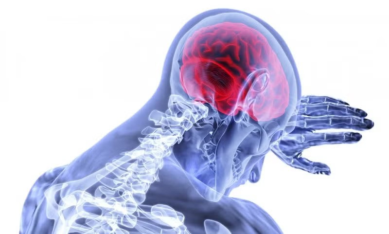 Identifican las células que facilitan la metástasis cerebral