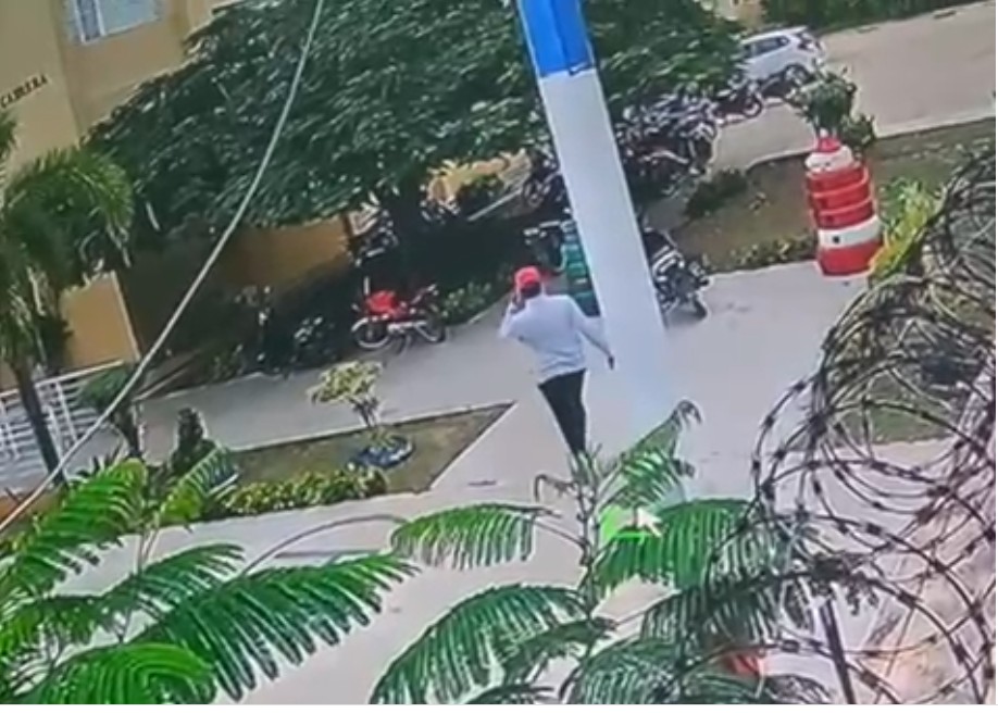 Ladrón envenena perros para robar motocicleta en Montecristi; reportan varios robos