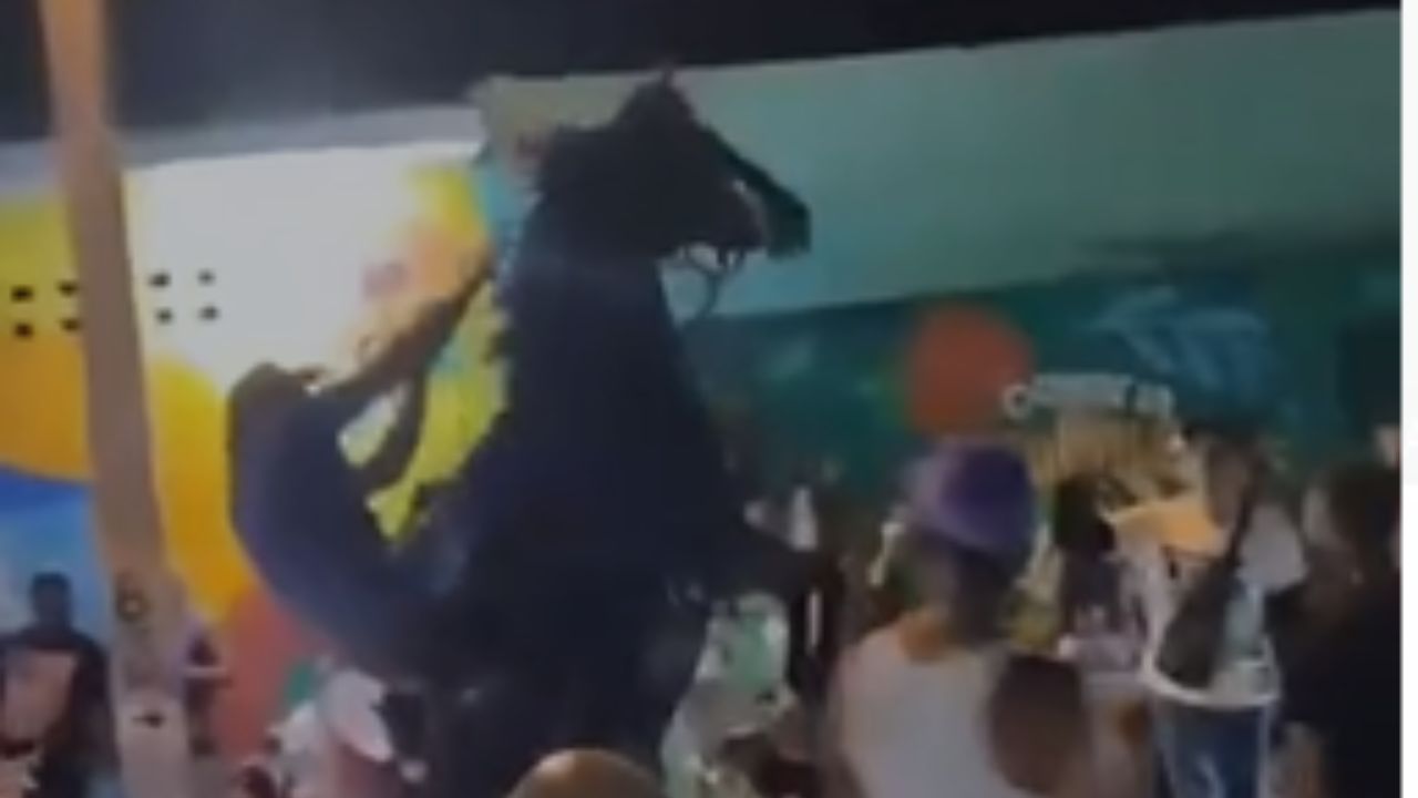 Caballo se descontrola en medio de un evento y causa accidente en Monte Plata