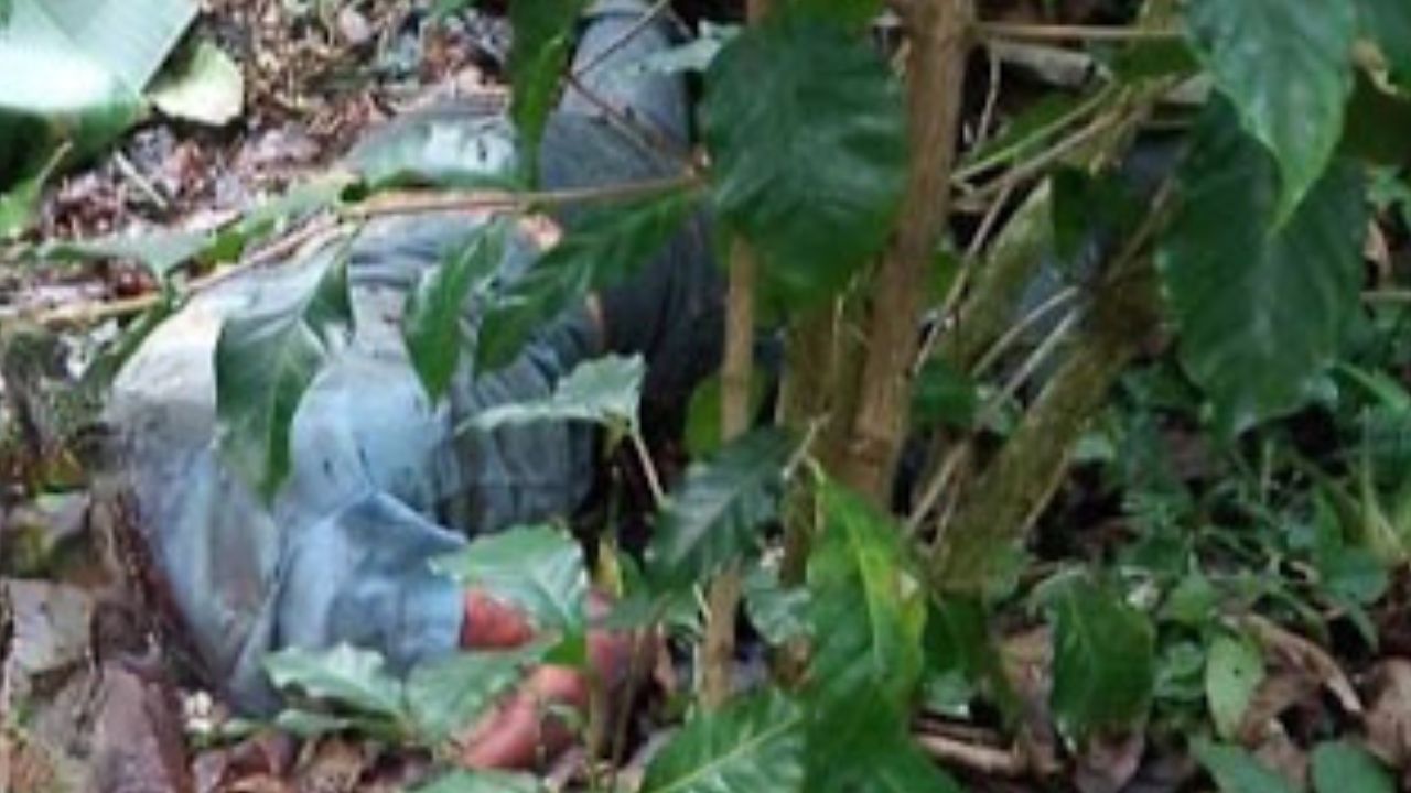 Hallan cadáver en estado de descomposición con cabeza cercenada en Barahona