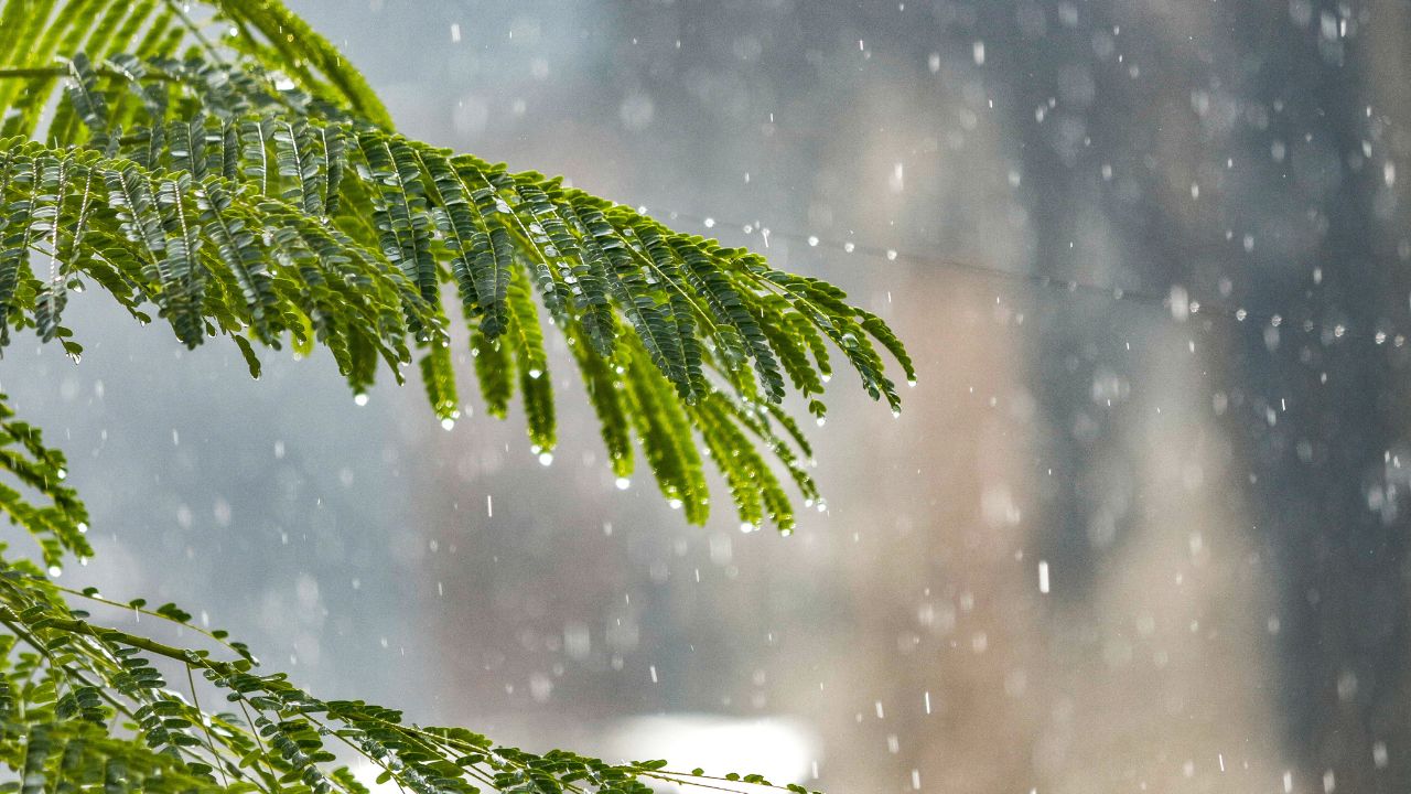 Onda tropical y vaguada seguirán provocando lluvias en gran parte del país