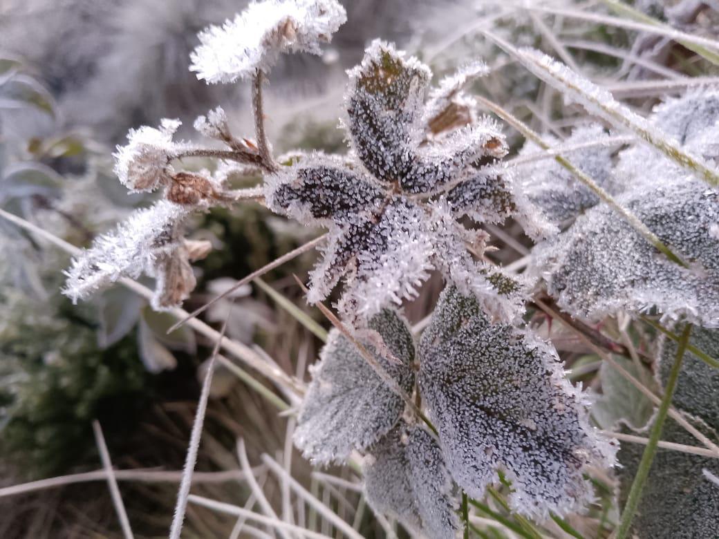 Tercer día seguido con temperaturas bajo 0 en Valle Nuevo, Constanza