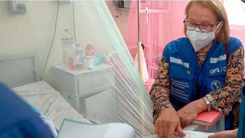 OPS destaca el aumento de casos de dengue, Oropouche y gripe aviar en las Américas
