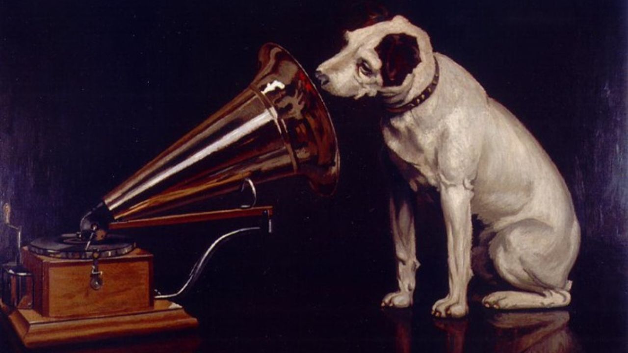 Un estudio revela que los perros prefieren escuchar reggae y rock suave
