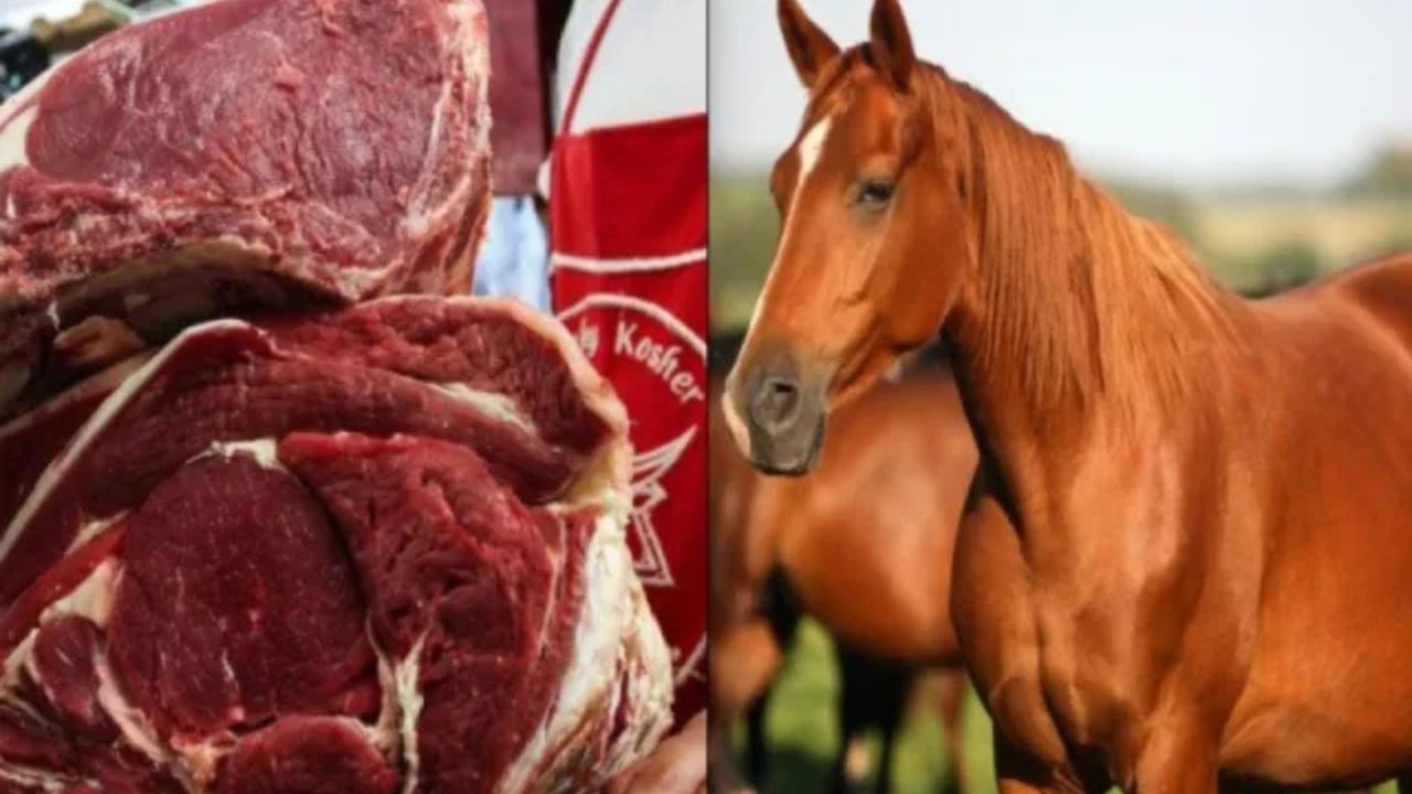 Desarticulan una red que vendía carne de caballo y asno a colegios y cárceles en Colombia