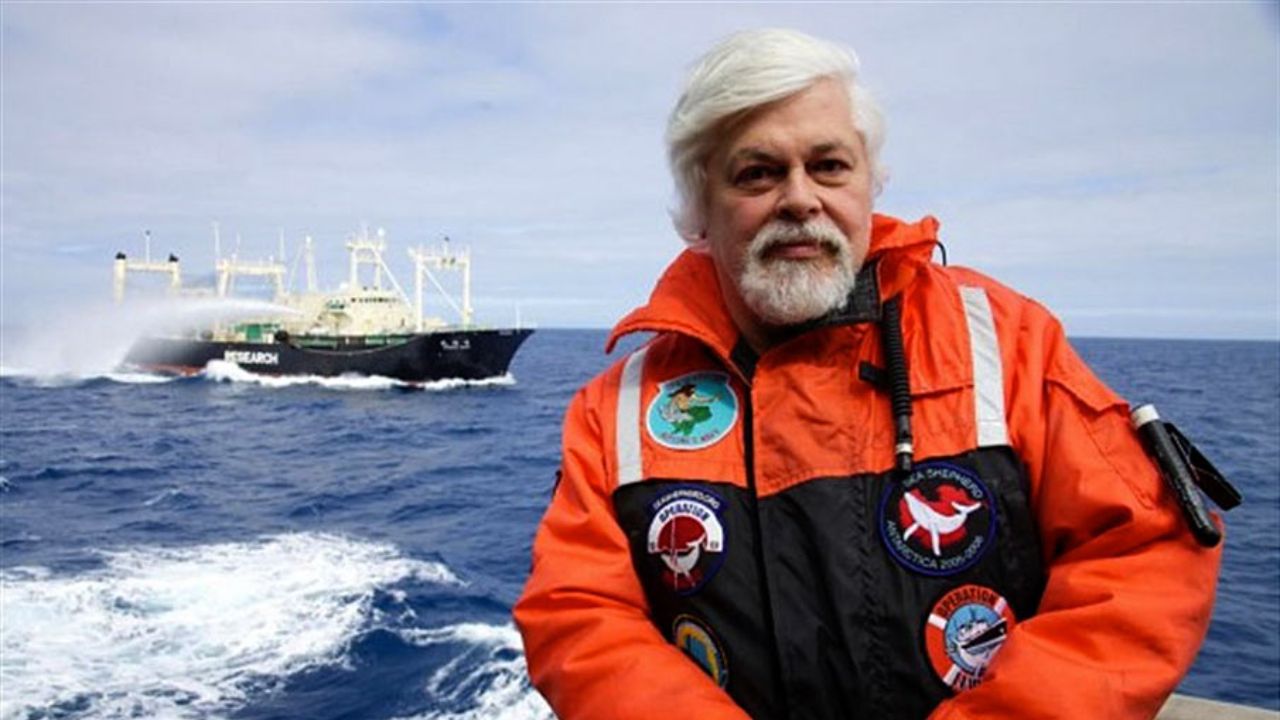 Paul Watson, el polémico e incansable defensor de las ballenas