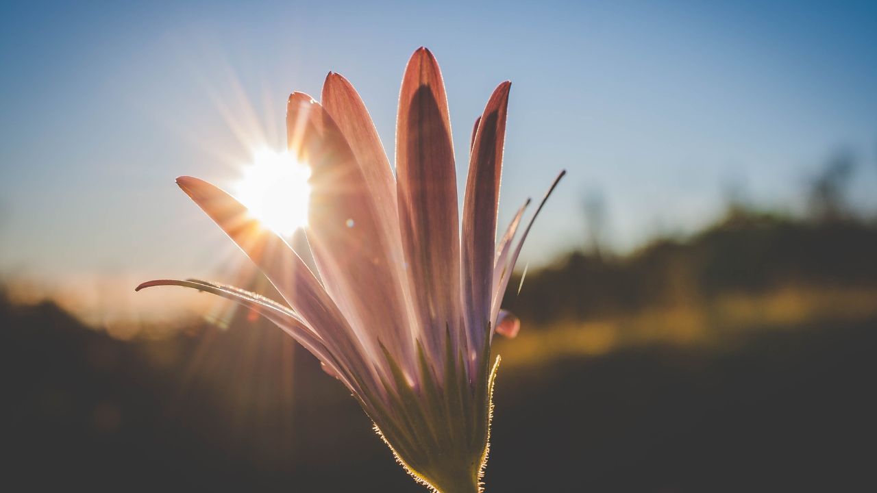 Temperaturas agradables para este miércoles, dice Indomet