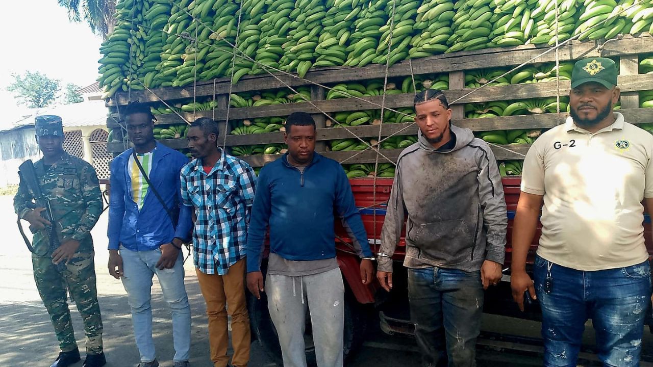 Detienen dominicanos que ocultaban indocumentados en camión de guineos