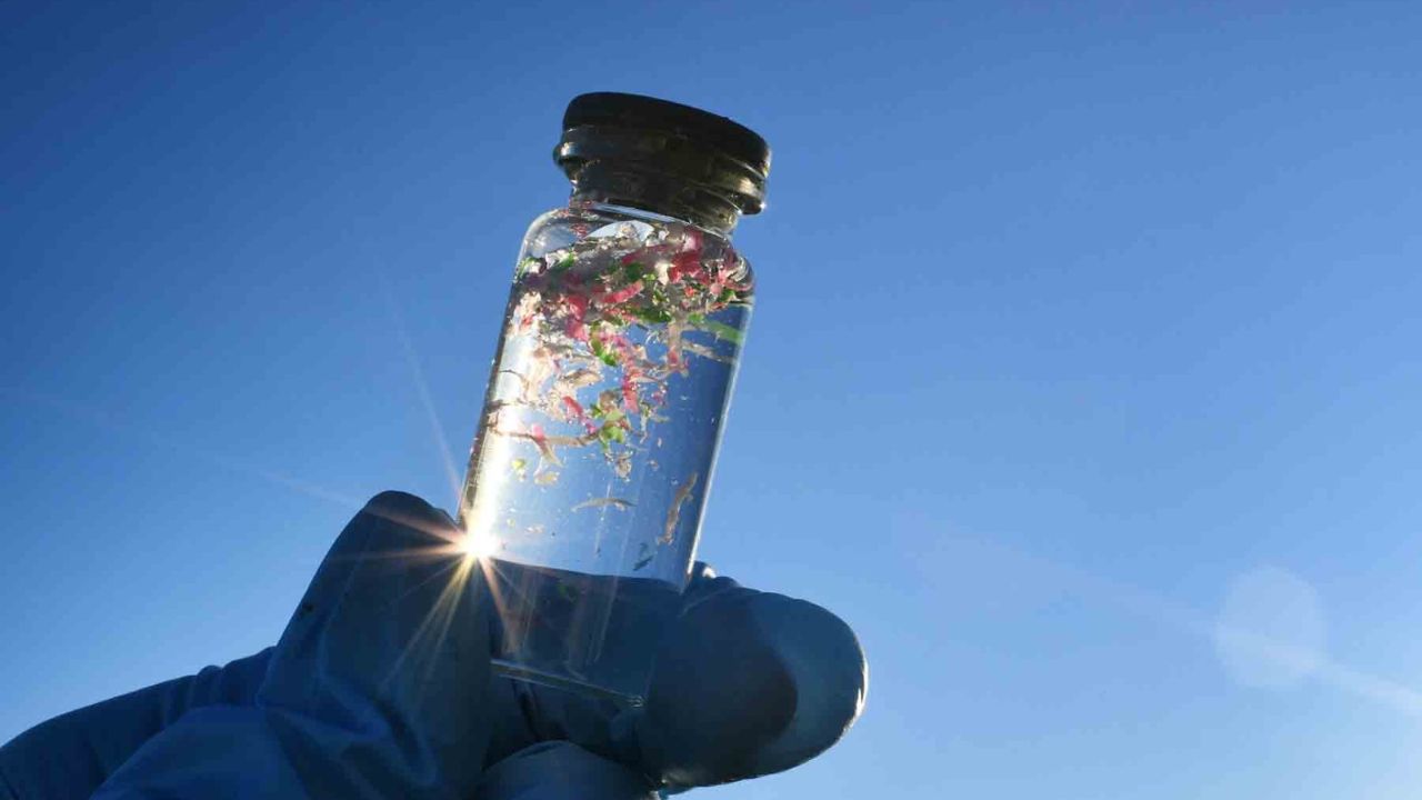 Conoce los riesgos de los microplásticos para el ambiente y el ser humano