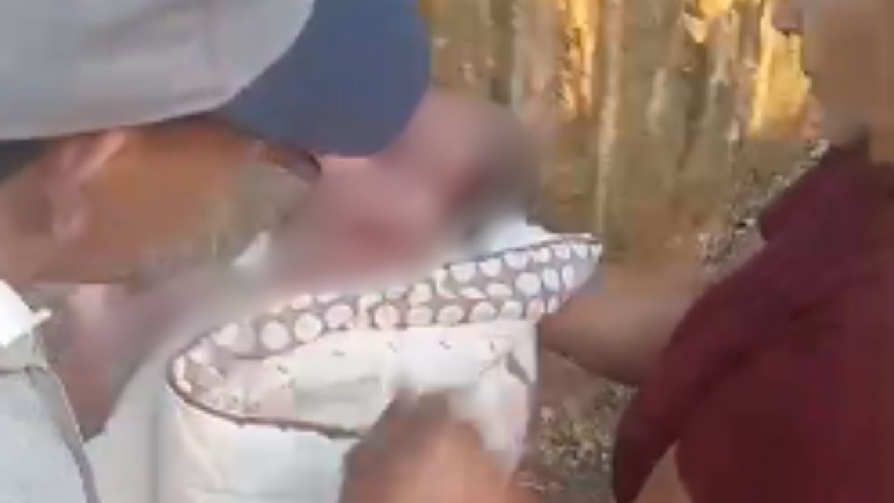 Encuentran recién nacido abandonado en Dajabón