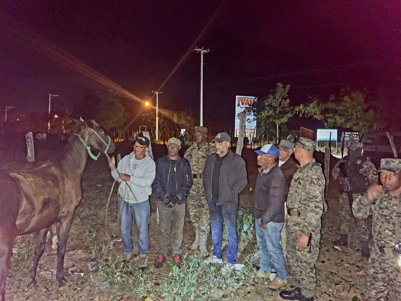 Ejército RD recupera ganado robado en hacienda de Dajabón