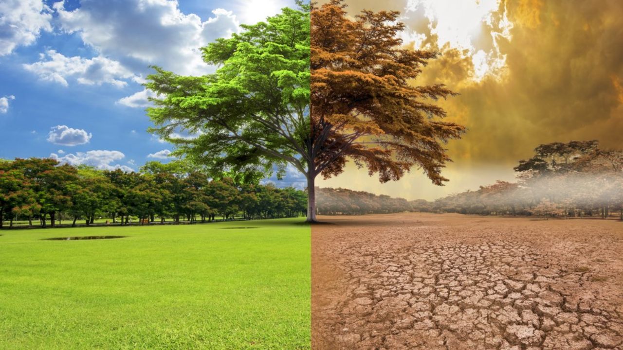 Brasil insta a la comunidad internacional a "abrazar" la COP30 en un "momento complejo"