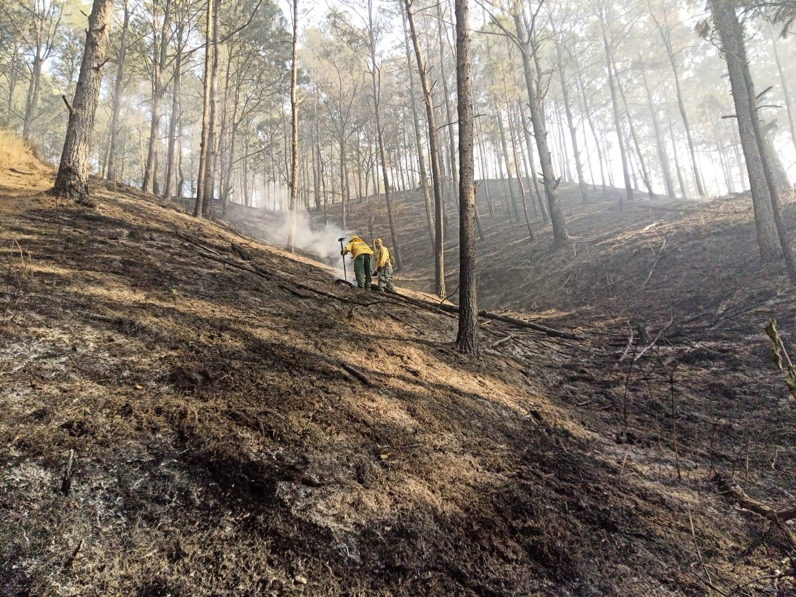 Bombero forestal resulta herido mientras combate incendio en Constanza