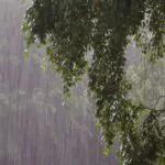 Reportan más localidades incomunicadas y daños agrícolas en Tireo, Constanza