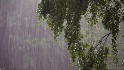Reportan más localidades incomunicadas y daños agrícolas en Tireo, Constanza
