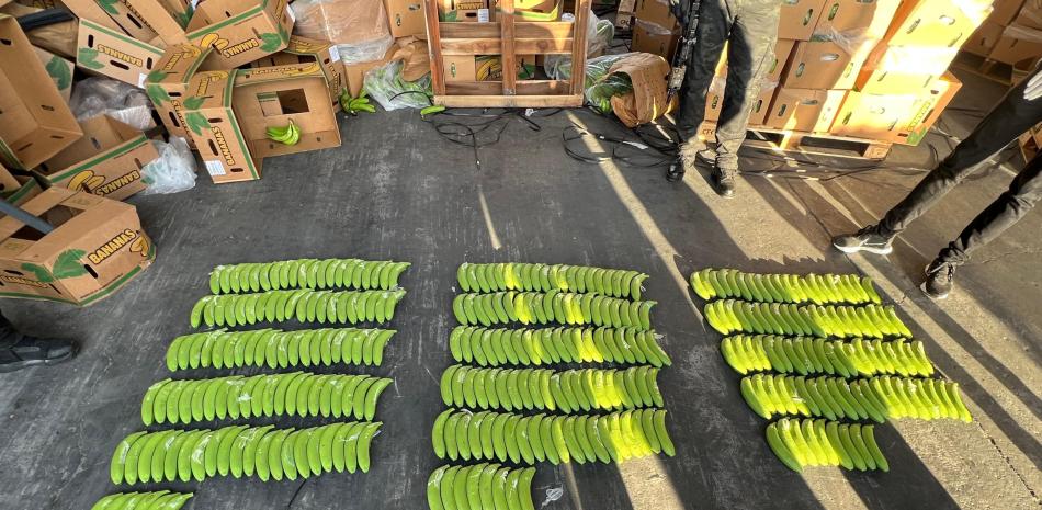 Plátanos organizados en filas en almacén