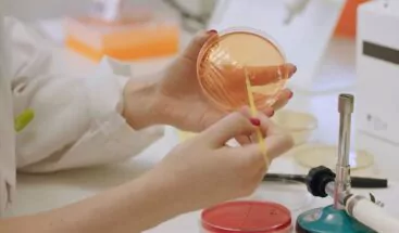 Descifran mecanismo de proteína clave en metástasis de cáncer de mama