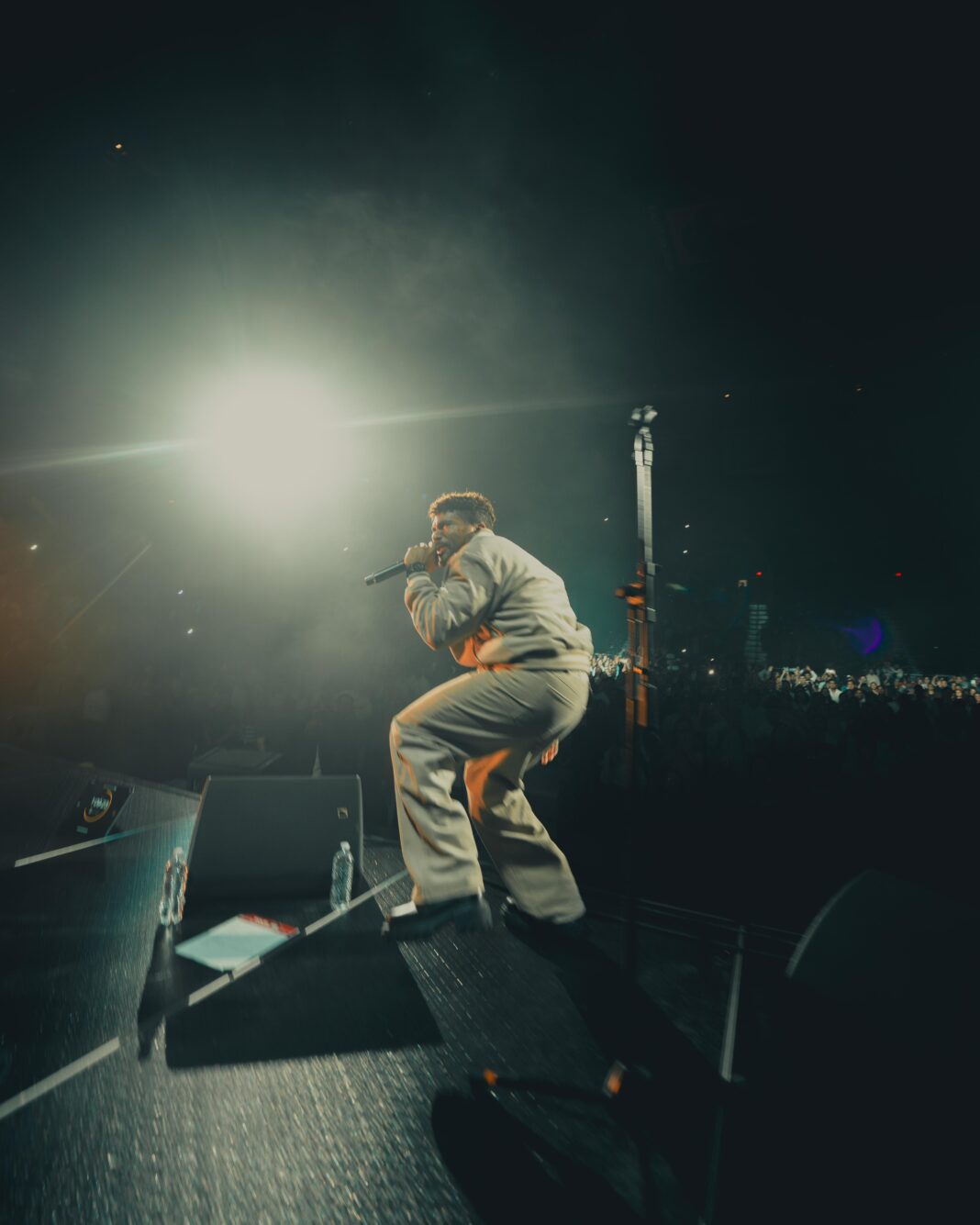 Cantante actuando en concierto frente a multitud entusiasta.
