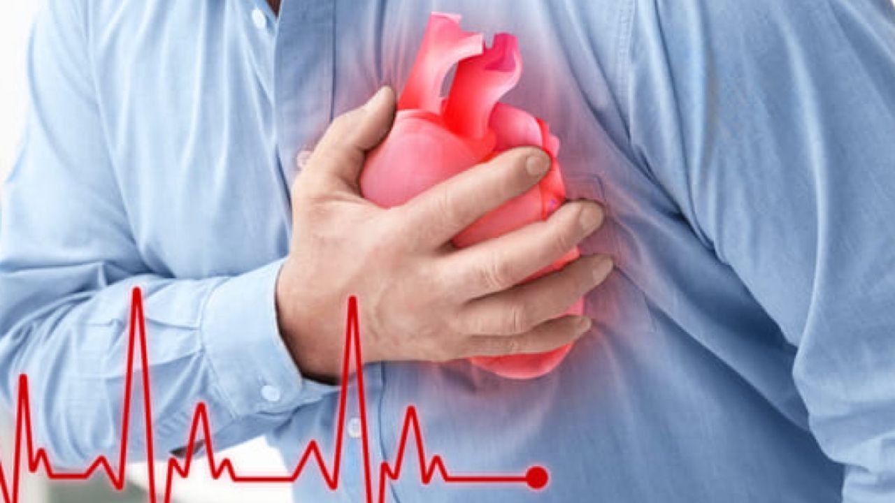 Desarrollan una inmunoterapia para revertir el daño cardíaco debido al colesterol