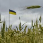 Agricultores españoles piden al Gobierno limitar la importación de cereal de Ucrania