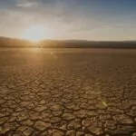 El cambio climático, la tercera causa de pérdida de diversidad, amenaza miles de especies