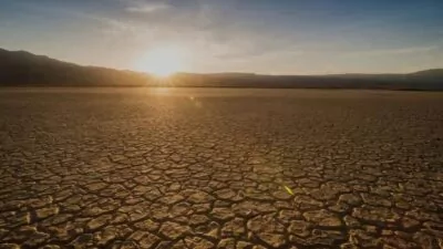 El cambio climático, la tercera causa de pérdida de diversidad, amenaza miles de especies