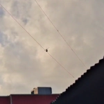 Reportan helicópteros sobrevolando Villas Agrícolas desde tempranas horas