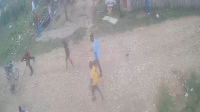 Hombre mata a palos a un perro herido en Monte Plata
