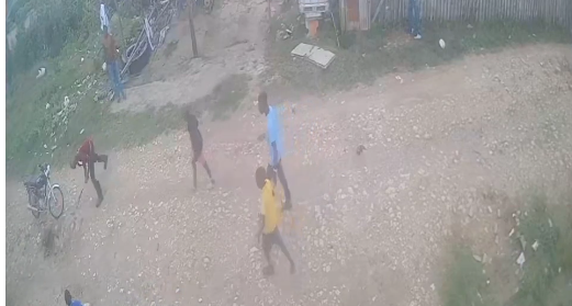 Hombre mata a palos a un perro herido en Monte Plata