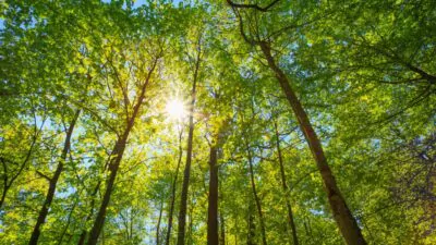 Indomet pronostica condiciones de buen tiempo y aguaceros en varias provincias