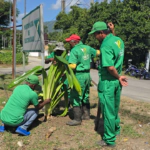 Digecac recupera Corredor Turístico de Puerto Plata