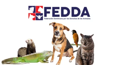 La Procuraduría General reabrirá su Unidad de Protección Animal