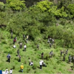 Instituciones se unen para reforestar y proteger las fuentes hídricas de Constanza