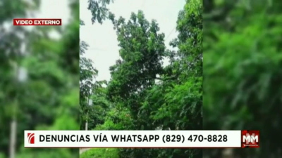 Vecinos de Praderas de San Felipe alertan sobre peligro de incendios por cables de alta tensión