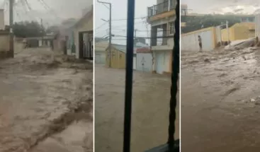 Hallan restos y objetos que podrían ser de un niño raptado