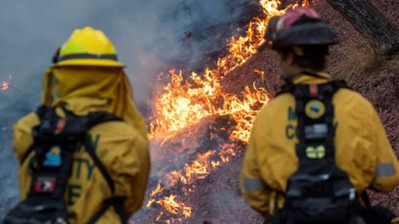 Siguen las labores de extinción del fuego en Jerusalén, que ha pasado de 11 a 5 sectores