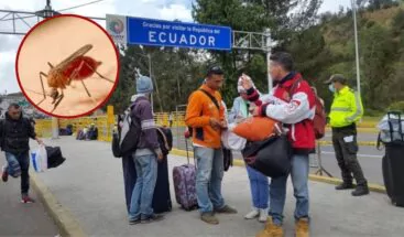 Aprende a usar correctamente los tampones