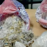 PN halla enterradas prendas robadas de una joyería