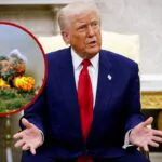 Trump reprueba el ataque de la India contra Pakistán: “Es una pena”