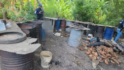 Apresan a una persona y desmantelan fábrica clandestina de ron adulterado en Tamayo, Bahoruco