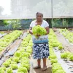 Desarrollo de la Comunidad y FAO buscan relanzar proyectos agroalimentarios